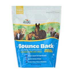 Bounce Back Multi-Species Electrolyte Supplement Manna Pro